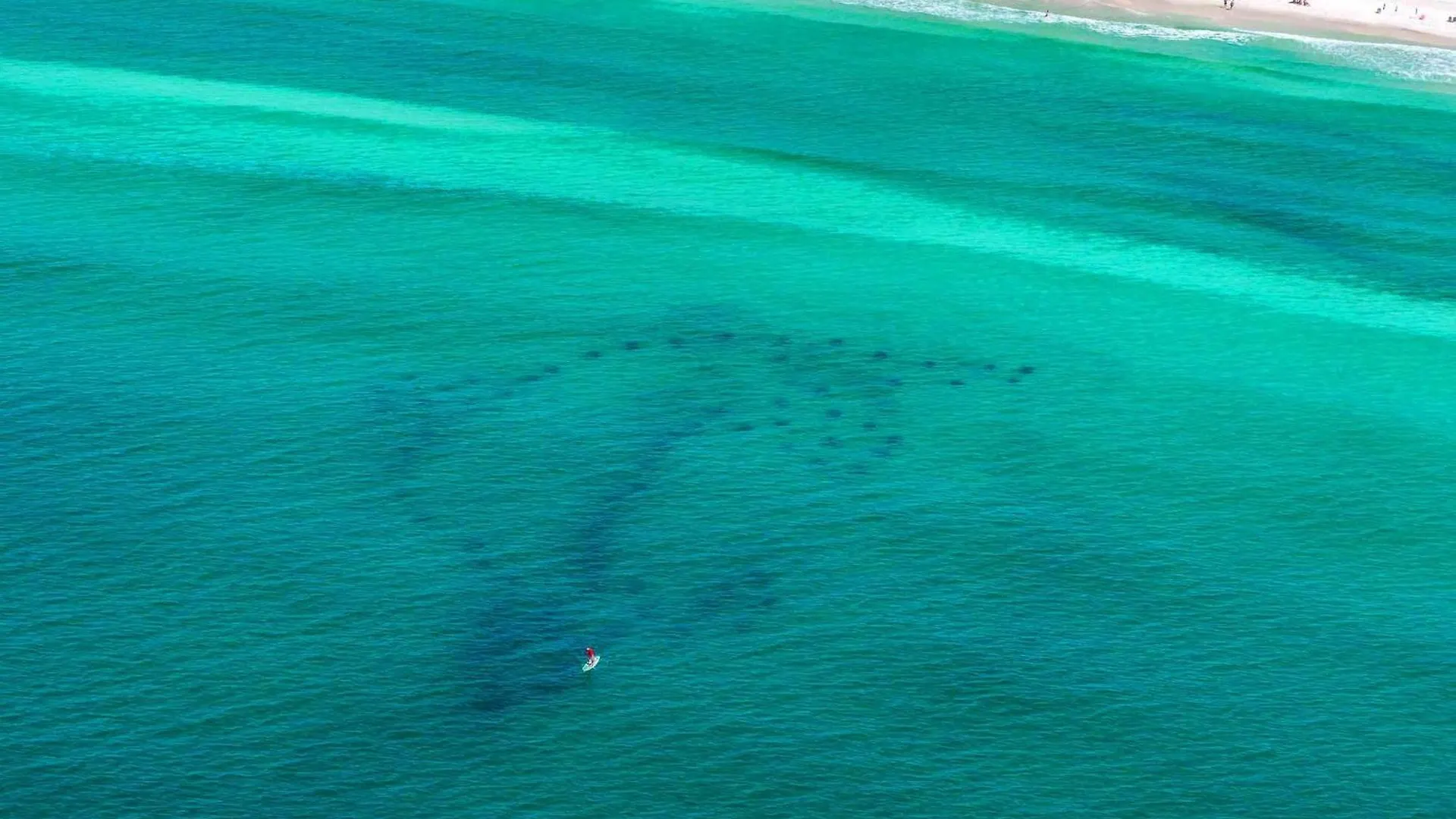 Surfside Resort #1508A Destin United States